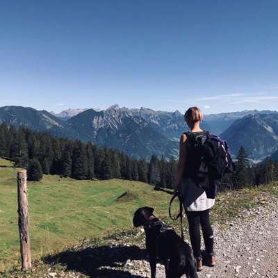 Hundetreffen-Trainingsrunde • Impulskontrolle, Leinenführigkeit-Profilbild