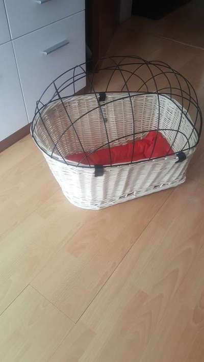 Bei 32 Grad den Hund neben das Fahrrad laufen lassen-Beitrag-Bild