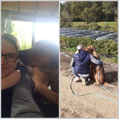 Hundmenschfotos-Beitrag-Bild