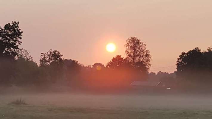 Die wunderschöne Welt mit Hund.-Beitrag-Bild