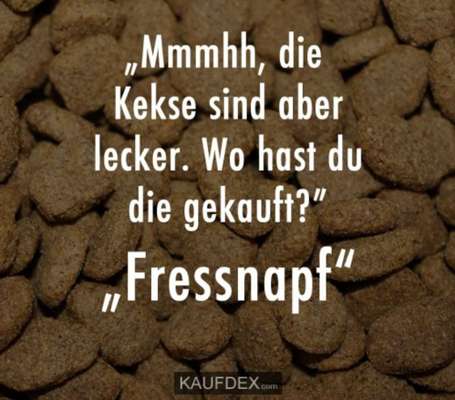 Hunde Memes-Beitrag-Bild