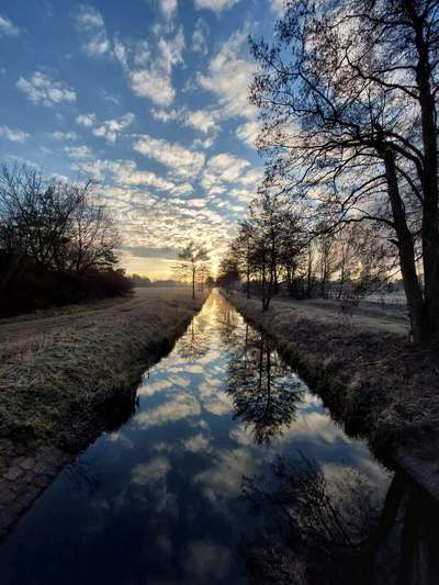 Die wunderschöne Welt mit Hund.-Beitrag-Bild