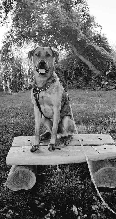 Foto-Challenge 76: Foto in Schwarz-Weiss-Beitrag-Bild