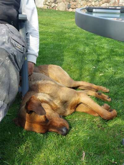 FOTO-Challenge  NR. 91: Die pure Entspannung-Beitrag-Bild