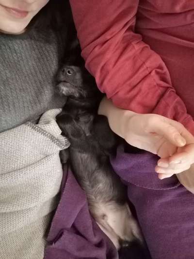 Die unbequemsten und lustigsten Schlafpositionen-Beitrag-Bild