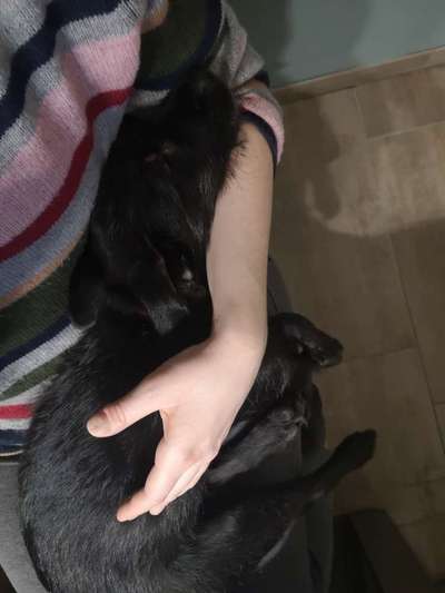 Die unbequemsten und lustigsten Schlafpositionen-Beitrag-Bild