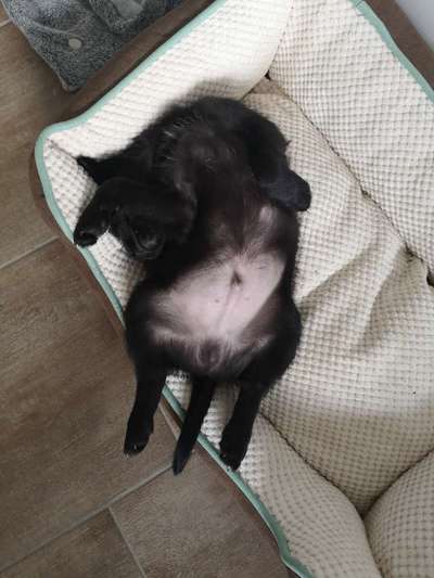 Die unbequemsten und lustigsten Schlafpositionen-Beitrag-Bild