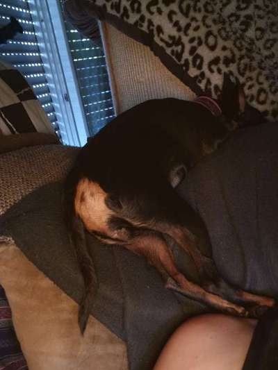 Lustige Grimassen & verrückte Posen-Beitrag-Bild