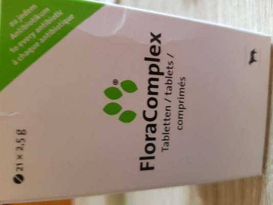 Gewicht stagniert-Beitrag-Bild