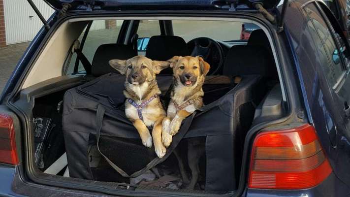 CHALLENGE NR. 18 - ON TOUR-Beitrag-Bild