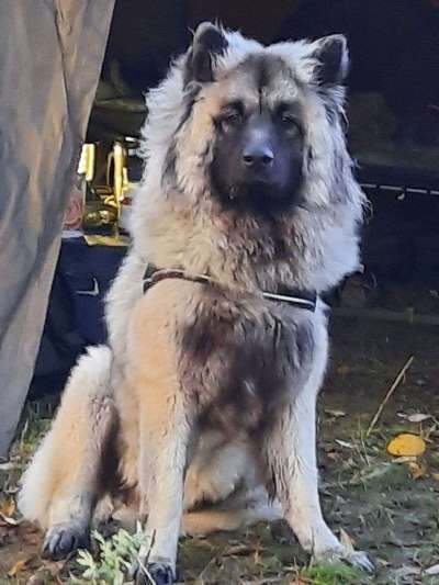 17. Handyfoto – Challenge-Beitrag-Bild