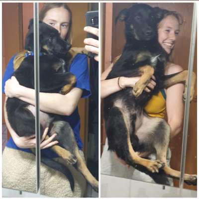 Hundetreffen-Spieltreff