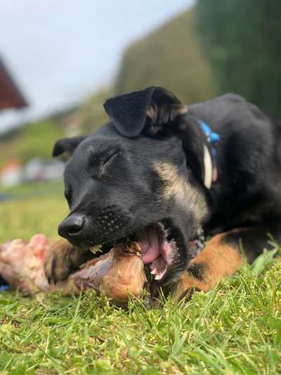 Lieblingsbild :D-Beitrag-Bild