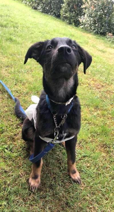 Lieblingsbild :D-Beitrag-Bild