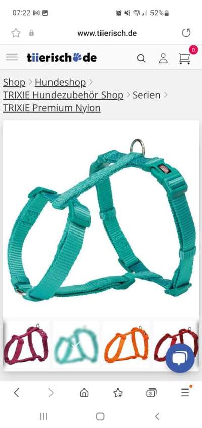 Samojede-Beitrag-Bild