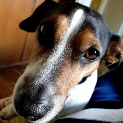 Handy-Foto Challange Nr. 10-Beitrag-Bild