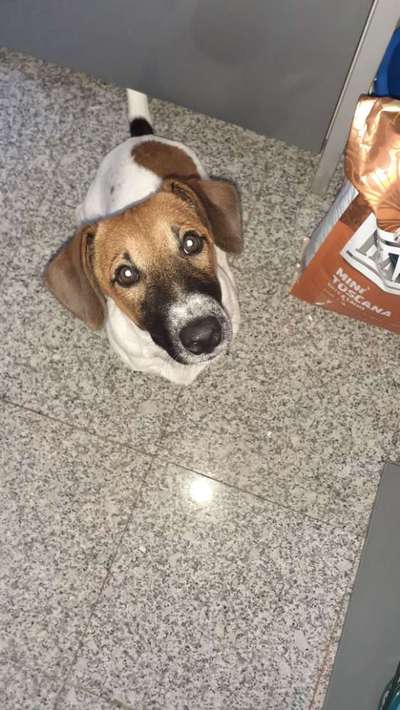 Handy-Foto Challange Nr. 10-Beitrag-Bild