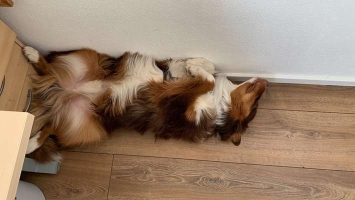 Zeigt her...-Beitrag-Bild