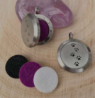 Floh und Zeckenmittel-Beitrag-Bild