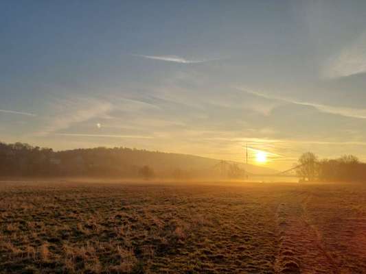 Hundeauslaufgebiet-Elbe-Bild