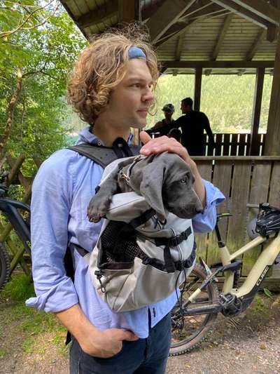 welpen allein lassen-Beitrag-Bild