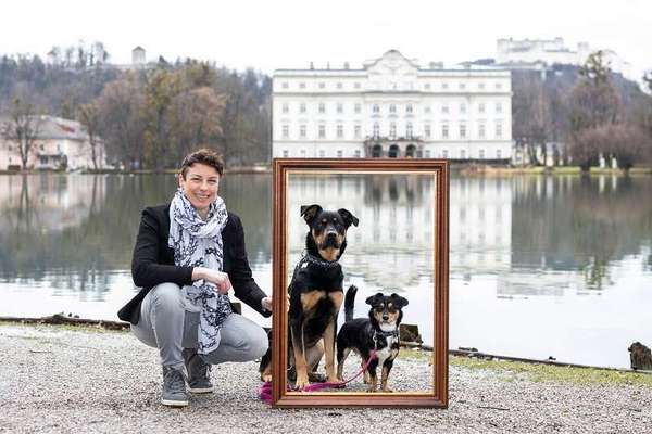 Hundeschulen-Tanja Gratzer | Persönlichkeitsentwicklung mit Hund-Bild