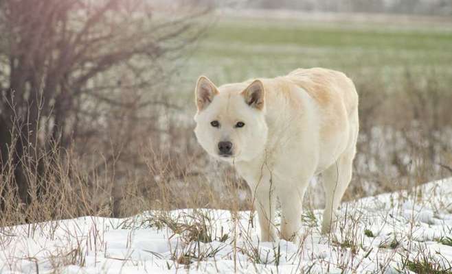 Fotochallenge Nr. 56 - geliebte Senioren-Beitrag-Bild