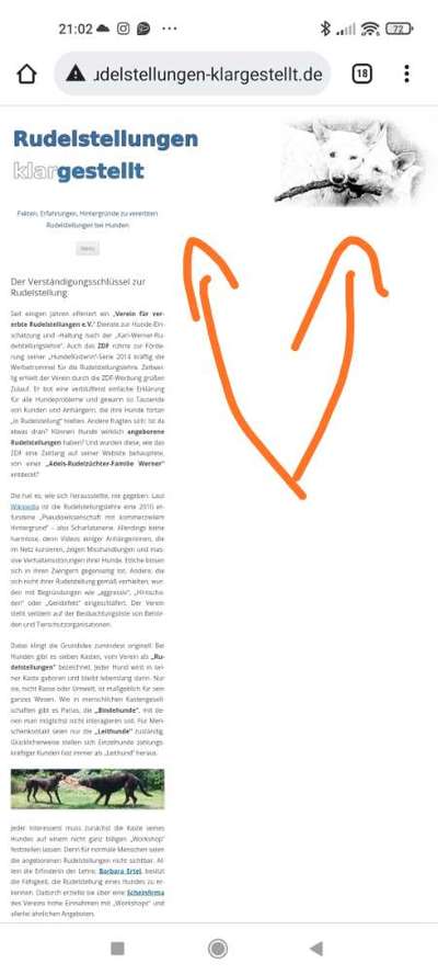 Leithund, Kundschafter, Wächter.... was haltet ihr davon?-Beitrag-Bild