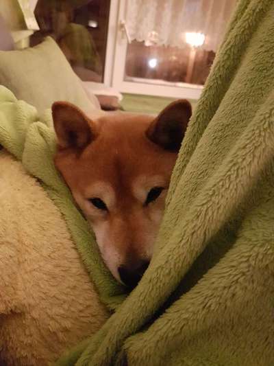 Überforderung und unterforderung-Beitrag-Bild