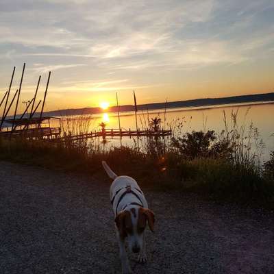 Doris's Profilbild