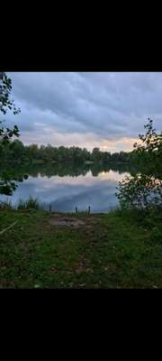 Hundeauslaufgebiet-Kiesteichrunde-Bild