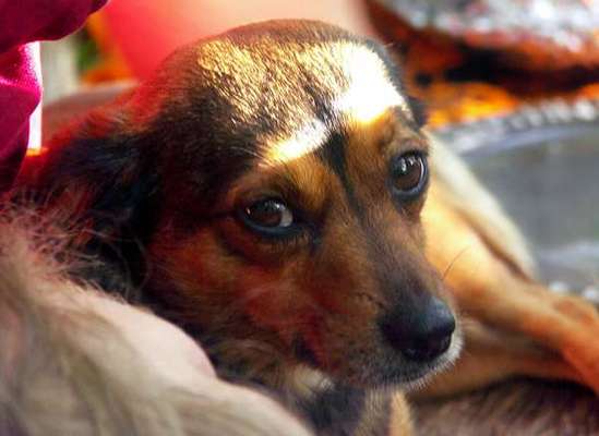 Lieblingsbild-Beitrag-Bild