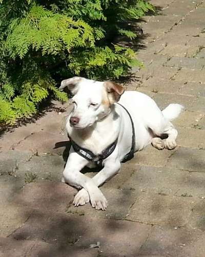 Lieblingsbild-Beitrag-Bild