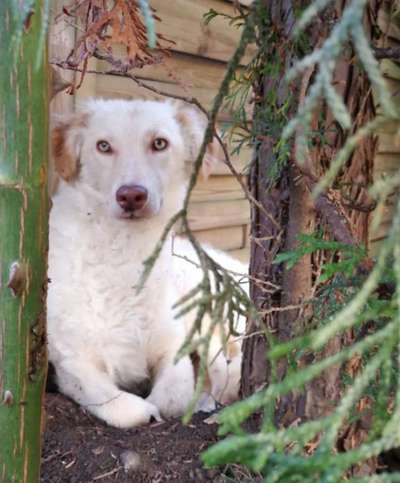 Lieblingsbild-Beitrag-Bild