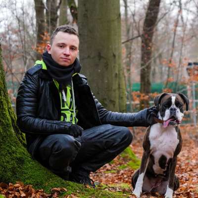 Hundetreffen-Gassirunde Jungfernheider Forst Sonntag 12 Uhr-Profilbild