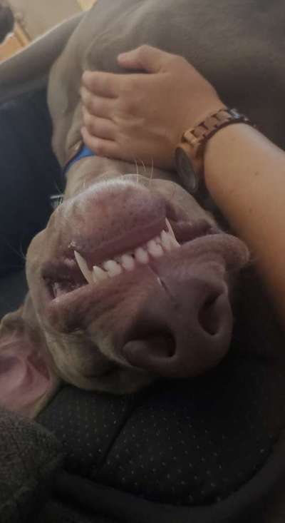 Fotochallenge Nr.105  Glücksmomente-Beitrag-Bild