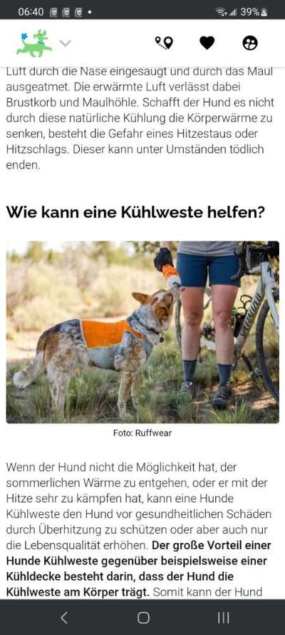 Kühlweste im Sommer-Beitrag-Bild