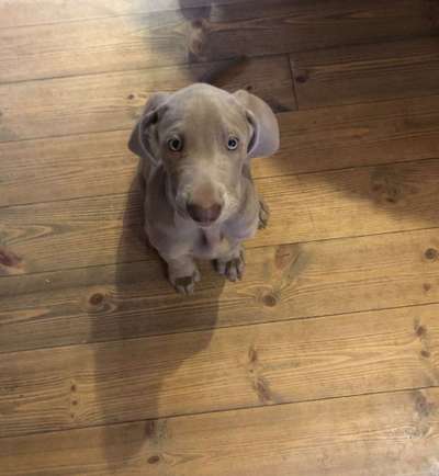 Lieblingsbild-Beitrag-Bild