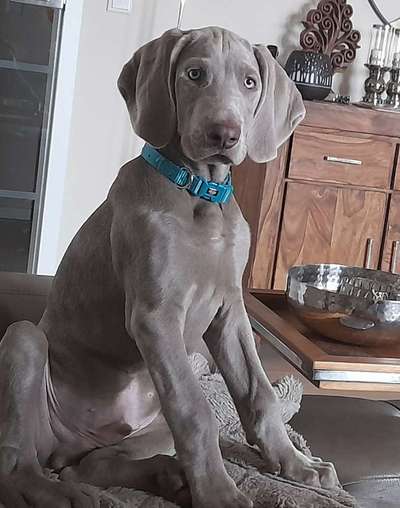 Sie werden so schnell erwachsen ...-Beitrag-Bild