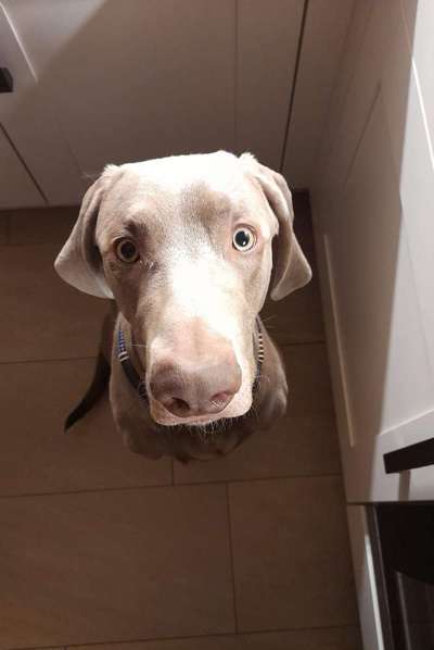 Handy-Foto Challange Nr. 10-Beitrag-Bild