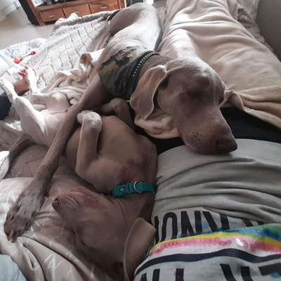 Foto Challenge 82-Beitrag-Bild