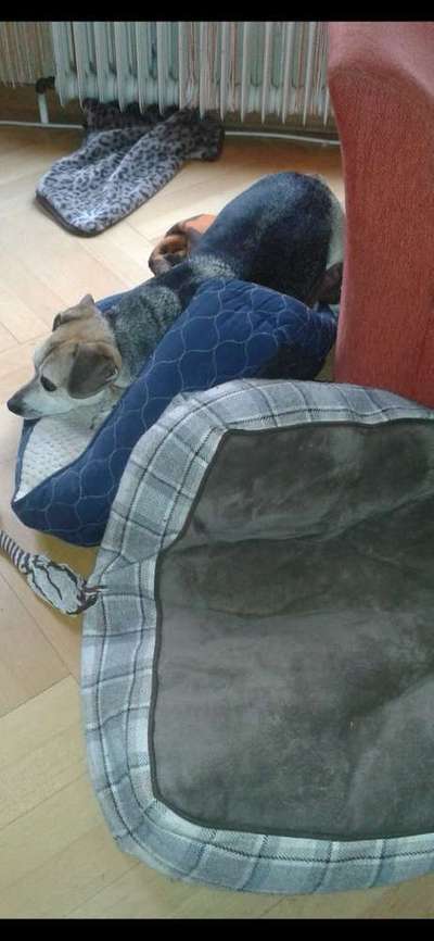 Die unbequemsten und lustigsten Schlafpositionen-Beitrag-Bild