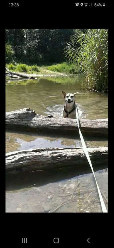 Immer lächeln !-Beitrag-Bild