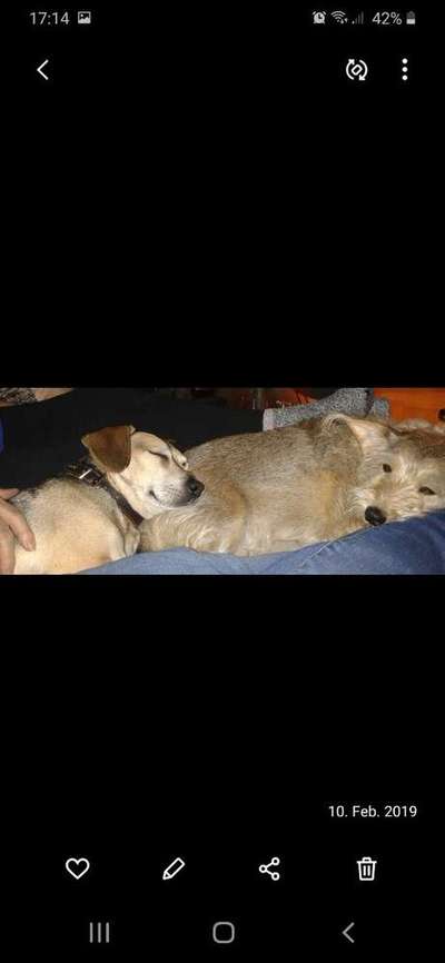 Die unbequemsten und lustigsten Schlafpositionen-Beitrag-Bild