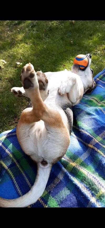 Die unbequemsten und lustigsten Schlafpositionen-Beitrag-Bild