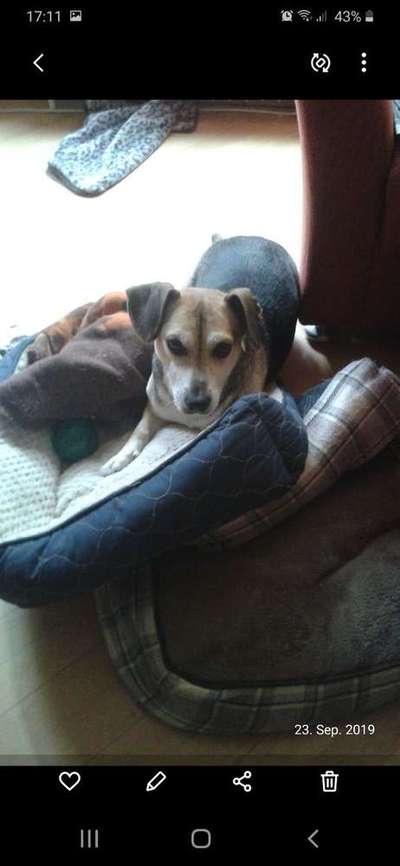 Die unbequemsten und lustigsten Schlafpositionen-Beitrag-Bild