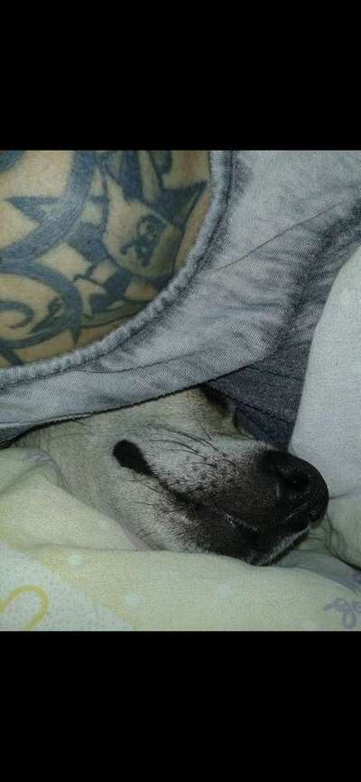 Die unbequemsten und lustigsten Schlafpositionen-Beitrag-Bild