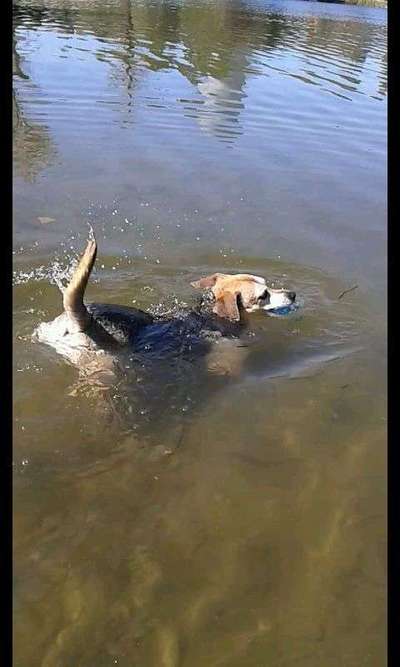 Foto Challenge - BEENDET - bitte aktuelle Challenge nutzen-Beitrag-Bild