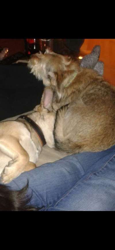 Die unbequemsten und lustigsten Schlafpositionen-Beitrag-Bild