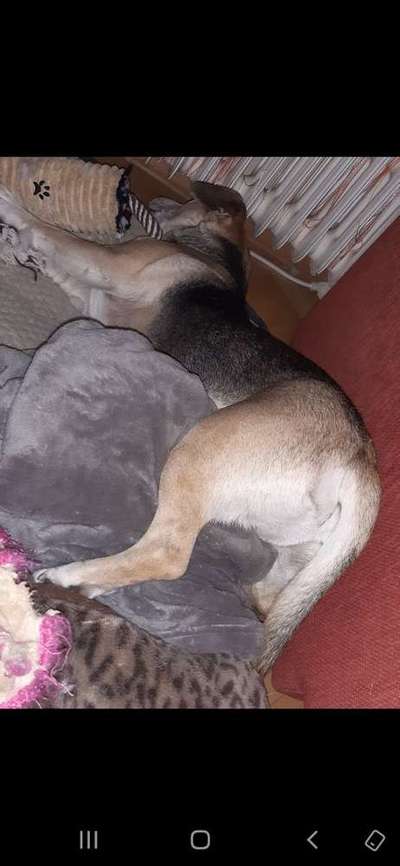 Die unbequemsten und lustigsten Schlafpositionen-Beitrag-Bild